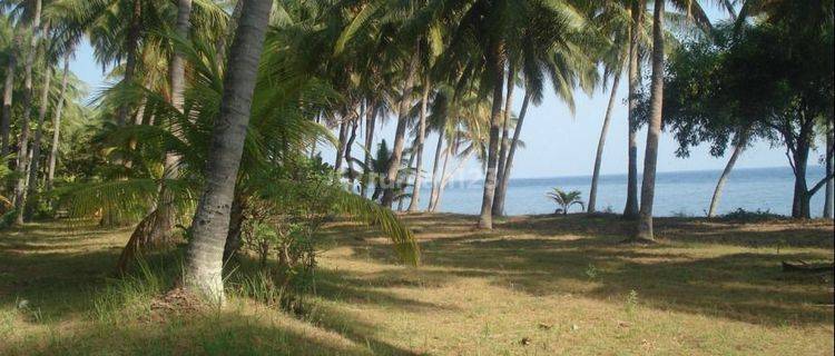 Dijual Tanah Pinggir Pantai Tenekule Singajara Buleleng 19.8 Hektar 1