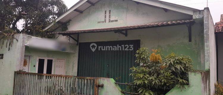 Gudang Dan Tanah Tegal Padang Nego Sampai Deal 1