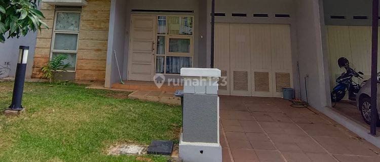 Rumah Dalton Scientia Garden di Tengah Lingkungan Asri Rent House 1