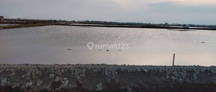 Dijual Cepat Tanah Tambak Di Karawang 1