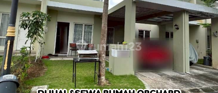 Dijual/disewa Rumah Orchard Park Cluster Vitis 1