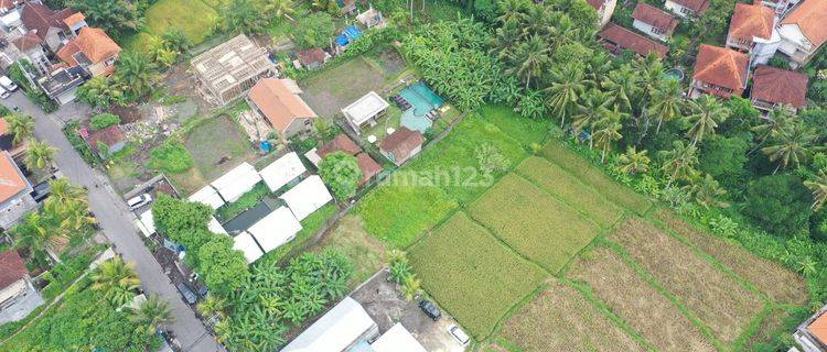 Freehold Land In The Heart Of Ubud S Tourist Hub  1