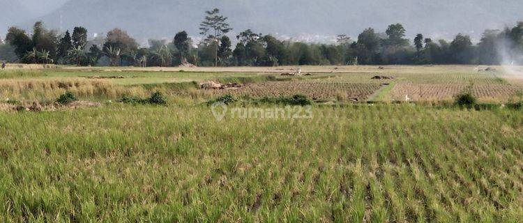 Tanah Mainroad Strategis Di Cihampelas Cililin  Kab. Bandung Barat 1