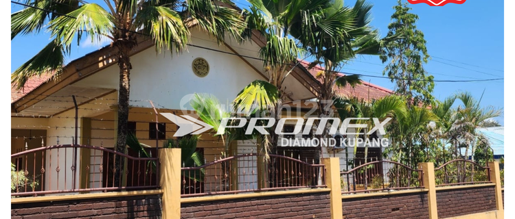 DIJUAL RUMAH TINGGAL AREA NAIKOTEN 1 KUPANG 1