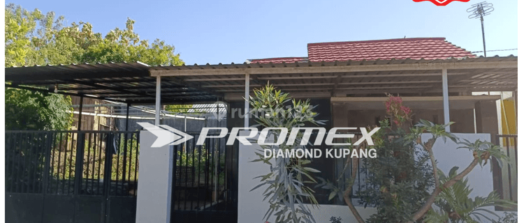 Dijual Disewakan Rumah Tinggal Area Fatukoa Kota Kupang 1