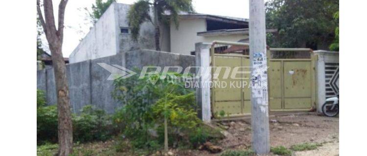 Dijual Rumah Gudang Jl Adisucipto Penfui Kupang 1