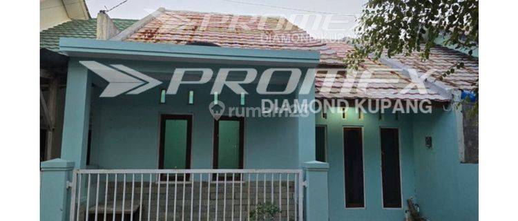  Dijual Rumah Bagus SHM di Tuak Daun Merah, Kupang 1