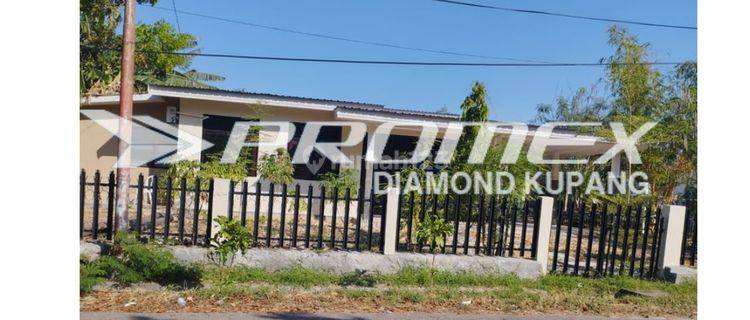 Disewakan Rumah Semi Furnished di Naikoten I, Kupang 1