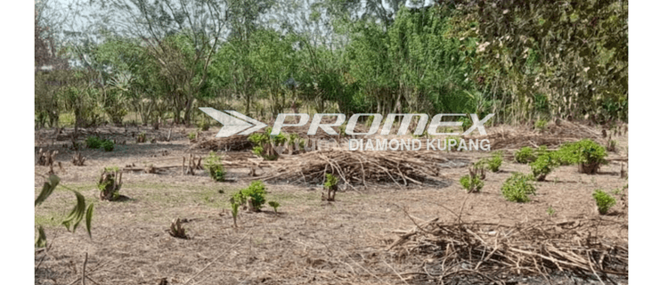 Dijual Tanah di Kupang Timur, Kabupaten Kupang  1