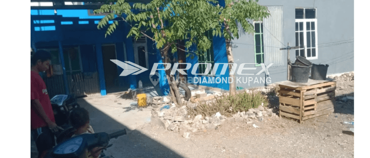 Dijual Rumah Bagus di Alak, Kupang 1