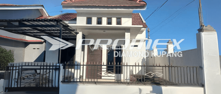 Dijual Rumah Bagus di Mualafa,  Kota Kupang - NTT 1