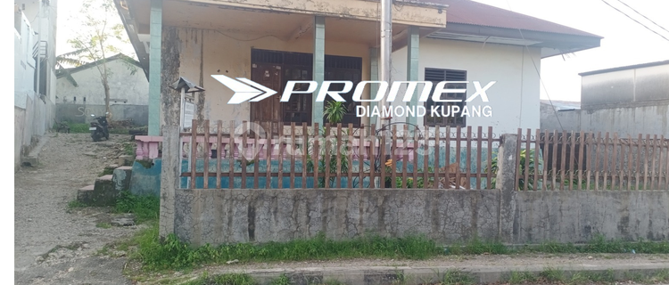 DIJUAL RUMAH LOKASI DI PINGGIR JALAN UTAMA DI JLN. NANGKA, OEBA KUPANG 1