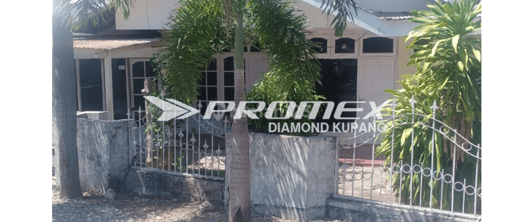  Disewakan Rumah Bagus di Jalan Palapa, Kota Kupang Ntt 1