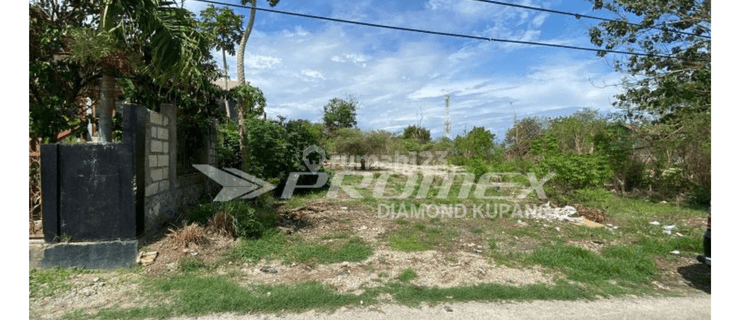 Dijual Tanah Lokasi Strategis di Liliba, Kota Kupang Ntt 1