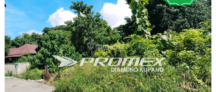 DIJUAL TANAH KOSONG AREA FONTEIN KOTA KUPANG 1