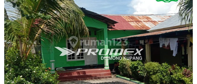 DIJUAL RUMAH AREA NAMOSAIN KUPANG 1