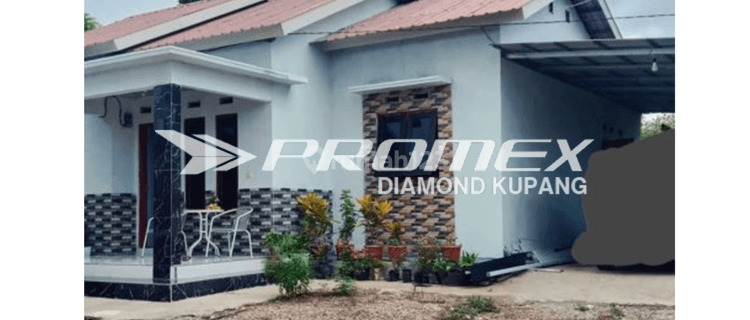 Dijual Rumah Bagus di Tarus , Kabupaten Kupang Ntt 1