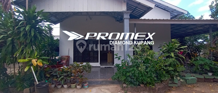 DIKONTRAKAN RUMAH FULL FURNISHED LOKASI NAIKOLAN KUPANG 1