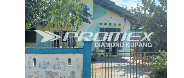 Dijual Tanah di Jalan Perwira, Kota Kupang Ntt  1