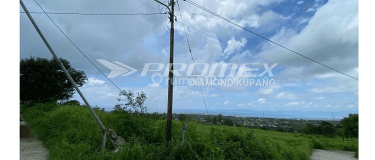  Dijual Tanah Luas di Bello, Kota Kupang Ntt 1