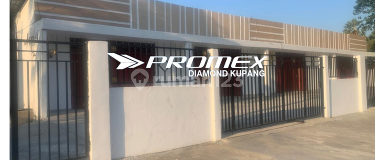 FOR RENT: 1-STORY SHOP HOUSE IN MAUMERE, NTT AREA 1