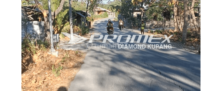 Dijual Tanah di Lasiana, Kabupaten Kupang Ntt  1