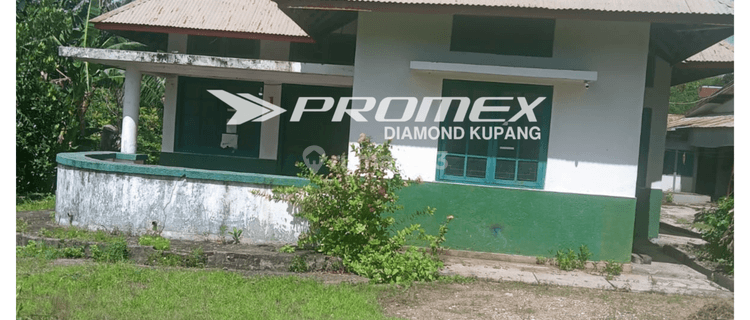 DISEWAKAN RUMAH LOKASI DI OEBA KOTA KUPANG (KALAPATARU) 1
