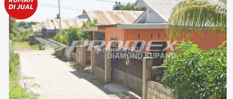 Dijual Rumah Tinggal Area Manulai 2 Alak Kupang 1