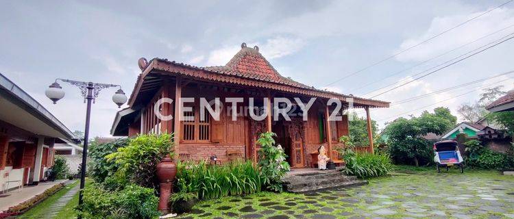 Villa Joglo Jawa Dengan Kolam Renang View Gunung Merapi Siap Huni di Pakem 1