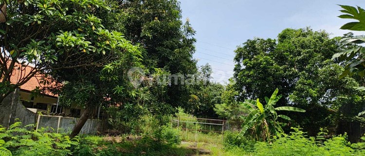 Sewa Tanah Strategis Daerah Gayamsari Semarang Timur - 11165 1