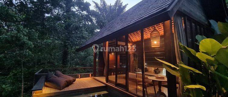 Unique Villa with Tropical Forest View 4 Star Ubud Area  1