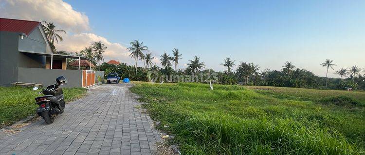 Tanah View Sawah Cocok Buat Villa Dan Investasi 1