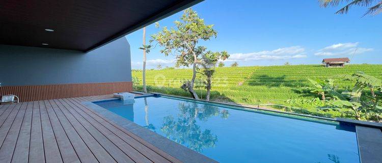 Villa View Ricefield In Canggu Best Atmosphere & Best Investment 1