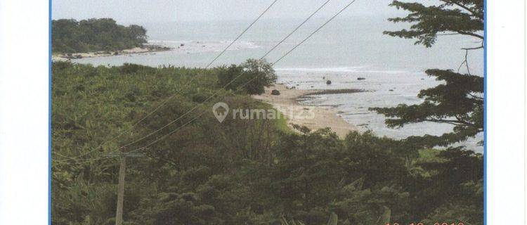 DIJUAL TANAH DI TANJUNG LESUNG 1