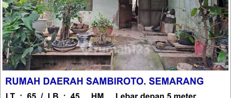Rumh Murah Sambiroto Tembalang Semarang  1