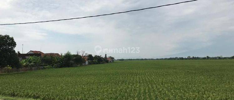 Dijual Tanah Sawah Di Kertajati Dekat Exit Tol Dan Bandara Majalengka 1