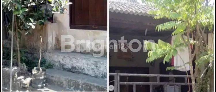 Rumah Minimalis Dekat Tabanan Kota 1