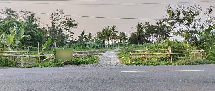 Tanah Panimbang Nempel Bibir Pantai Nego 1