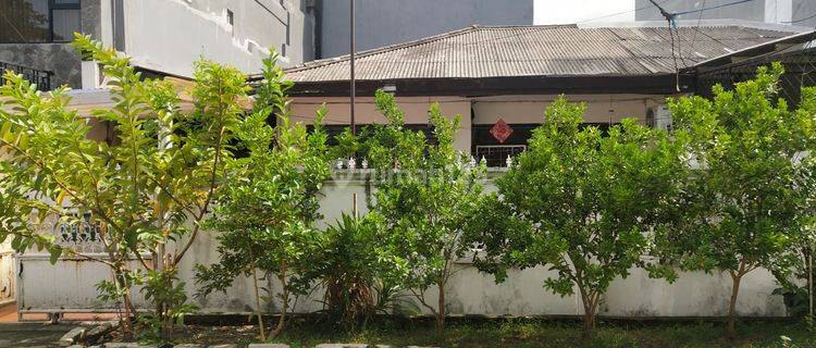 Rumah Tua di Pluit Putri 10x22 Hadap Utara 1