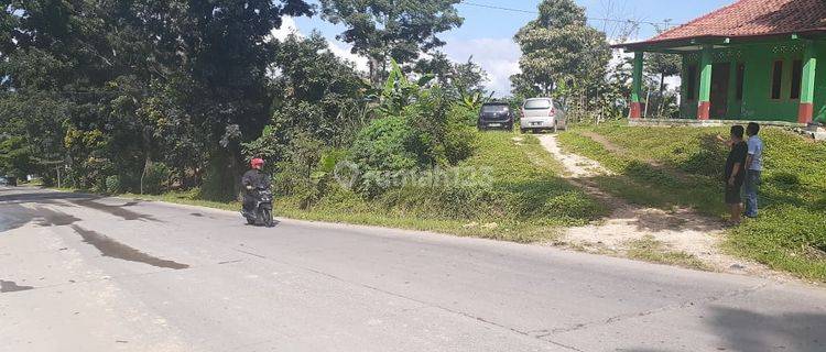 Dijual Tanah Bebas Banjir di Mekarsari Cikalong Kulon Cianjur  1