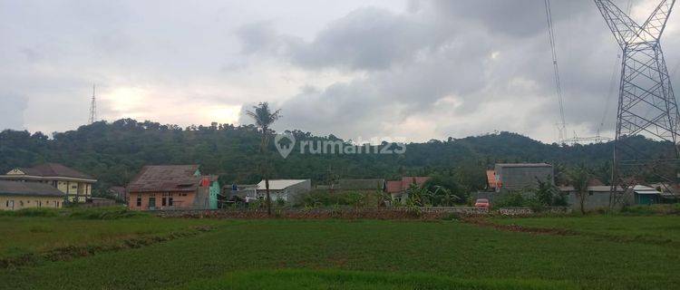 Tanah Sawah Tegal Bunder Dekat Pasar Harga Miring 1