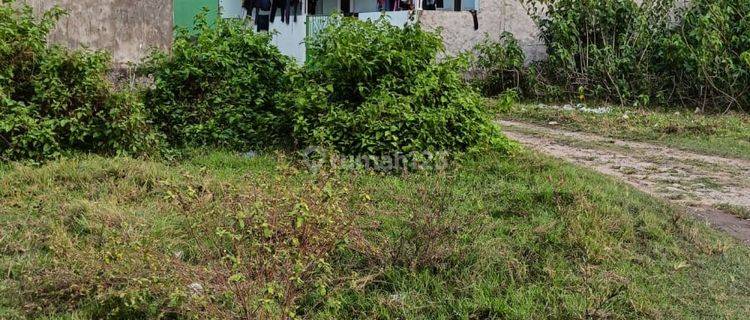 Tanah Kavling Pelamunan Kramatwatu Harga Miring 1