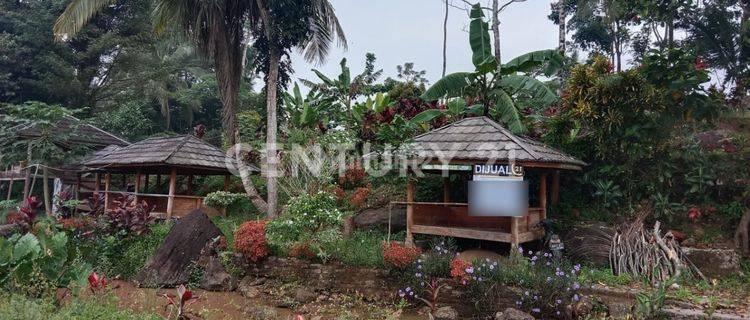 Tanah Sawah Tempat Wisata Cihunjuran Nego Sampai Deal 1