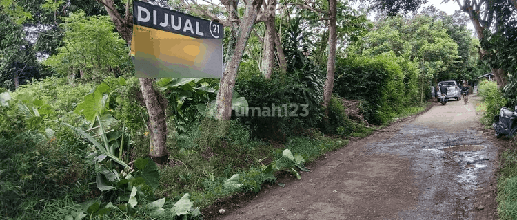 Tanah Harga Miring Ds Cipete Curug Jalan Raya 1