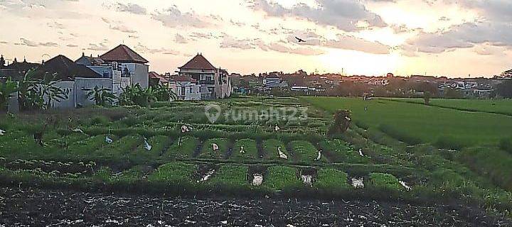 SUSUSUSUPER DEAL FOR SALE LAND WITH RICE FIELD VIEW IN ANTASURA PAGUYANGAN NORTH DENPASAR LOCATION
 1