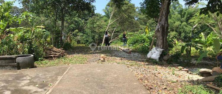 Dijual tanah lokasi tangguntiti selemadeg tabanan 1