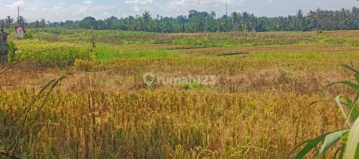 Dijual tanah lokasi br dukuh baturiti kerambitan tabanan 1