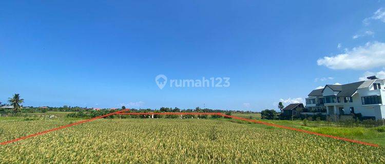 Disewakan tanah lokasi nyanyi utara tabanan 1