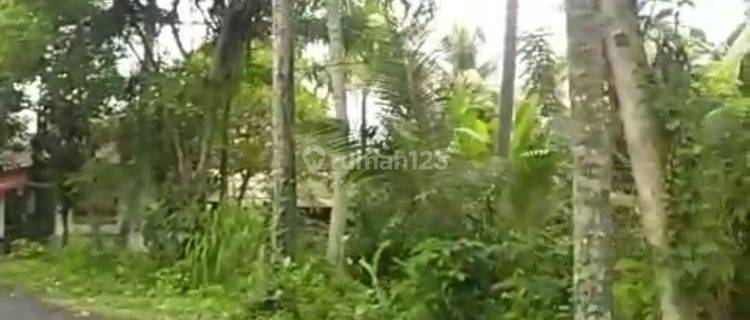 Land for sale located on the edge of the main road of Saba beach 1