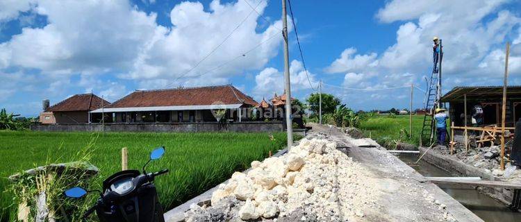 Dijual tanah lokasi cemagi mengwi badung 1